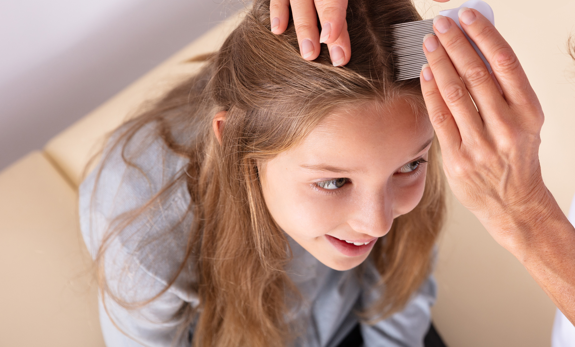 South Florida Lice Treatment Experts